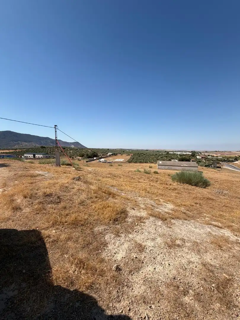 Terreno rustico in vendita a Morón de la Frontera, imagen 4