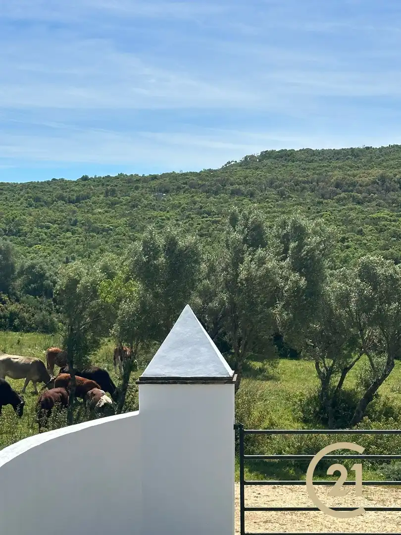 Terreni e lotti in vendita a Benalup-Casas Viejas