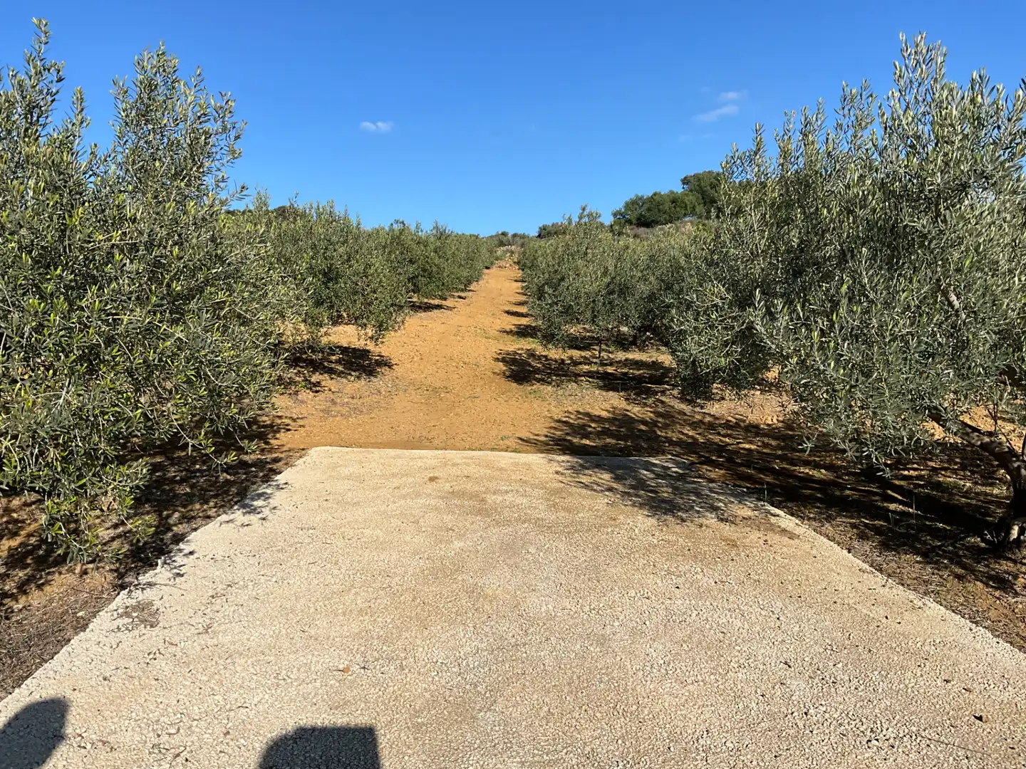 Terreno en venta en Alozaina