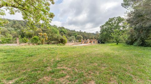 Foto 5 de Finca rústica en venta en Solà de Badós, S/n, 17745, Lladó, Girona, Lladó, Girona