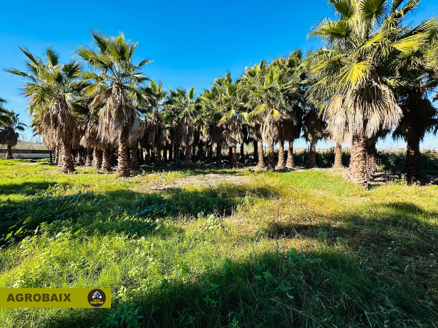 Terreno rustico in vendita a Eixample, imagen 34