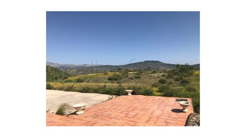 FINCA CON CASA REFORMADA Y 100.000 m2 de terreno