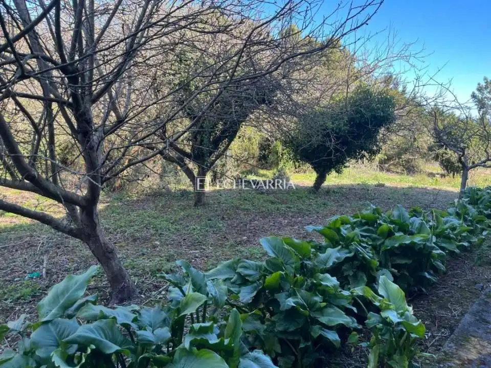 Maison avec jardin à vendre à Santa María de Getxo, imagen 37