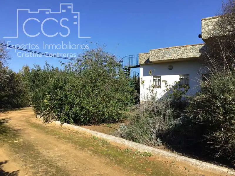 Chalet con piscina en venta en Sanlúcar la Mayor, imagen 39