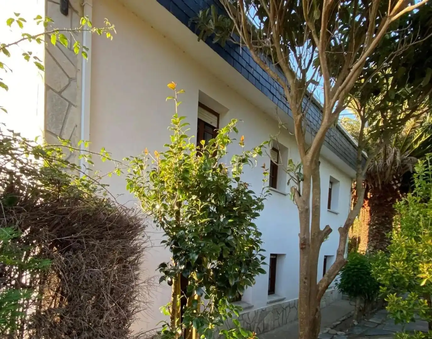 Vista exterior de Casa o chalet en venta en Castropol con Calefacción, Terraza y Trastero