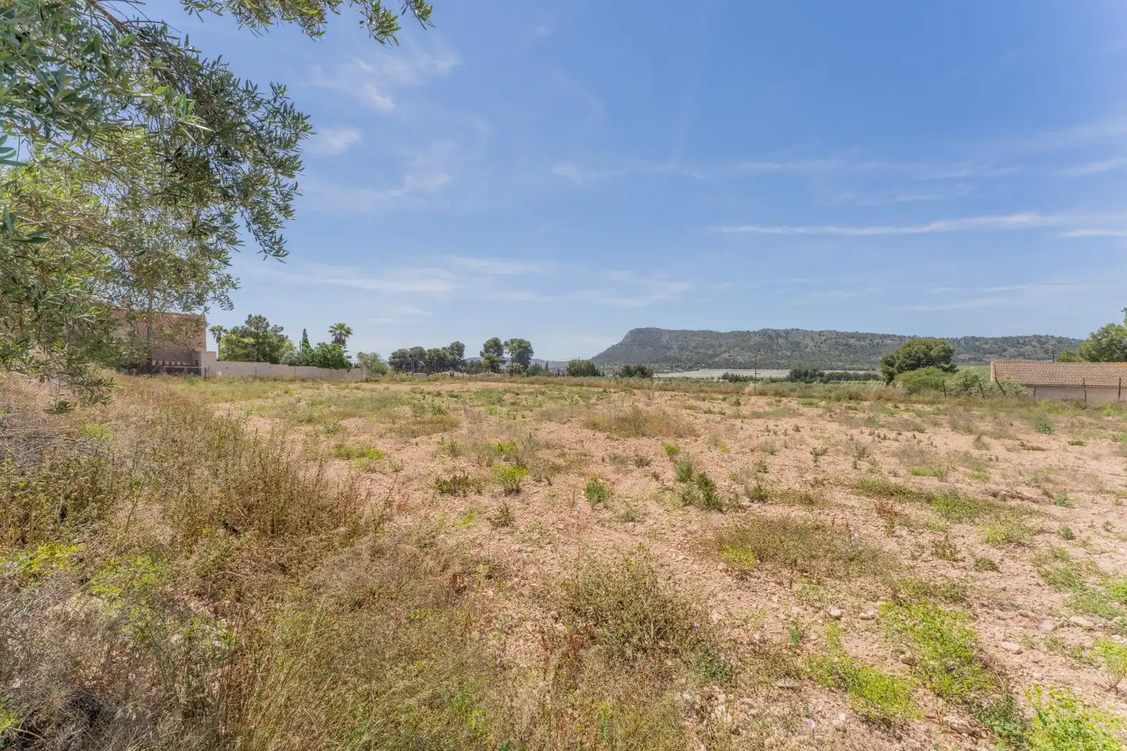 Casa o chalet en venta en Aspe
