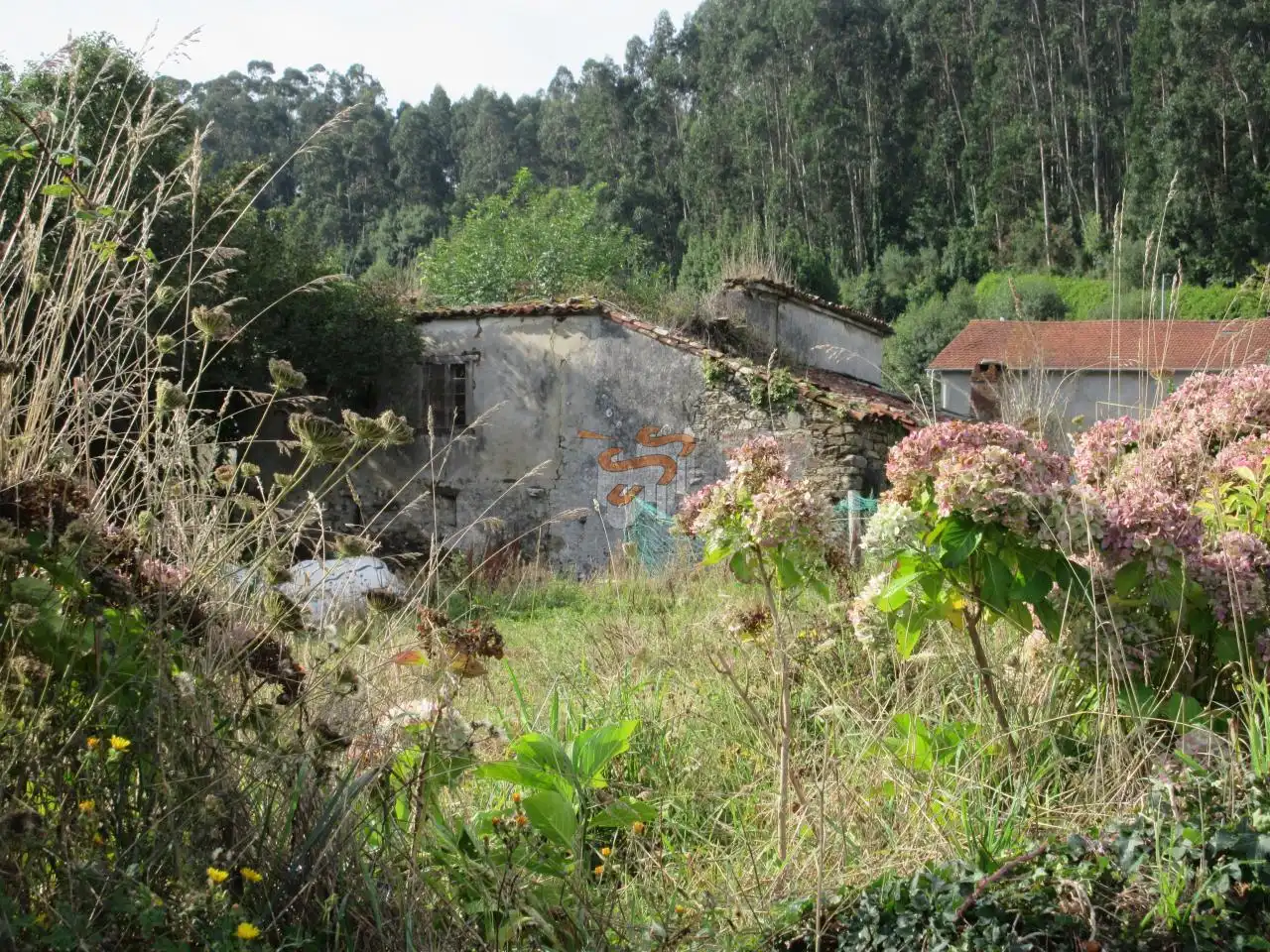 Garten von Country house zum Verkauf in Cariño mit Heizung und Privatgarten