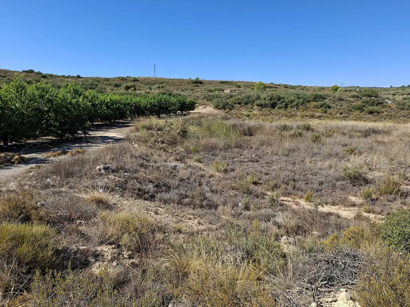 Terreno rustico in vendita a N/A, imagen 7