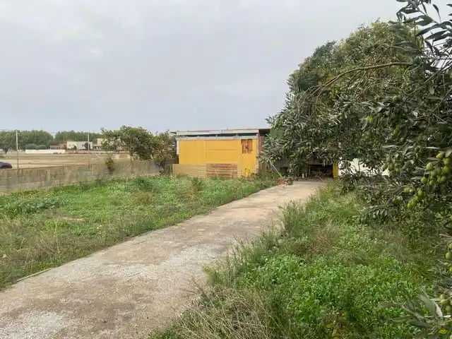 Terreno rústico en venta en Mollerussa, imagen 6