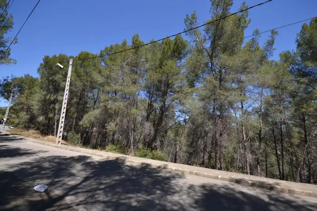 Rural land for sale in c/ can macia, imagen 3