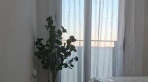 Photo 3 of Apartments for rent in Almendralejo, Badajoz