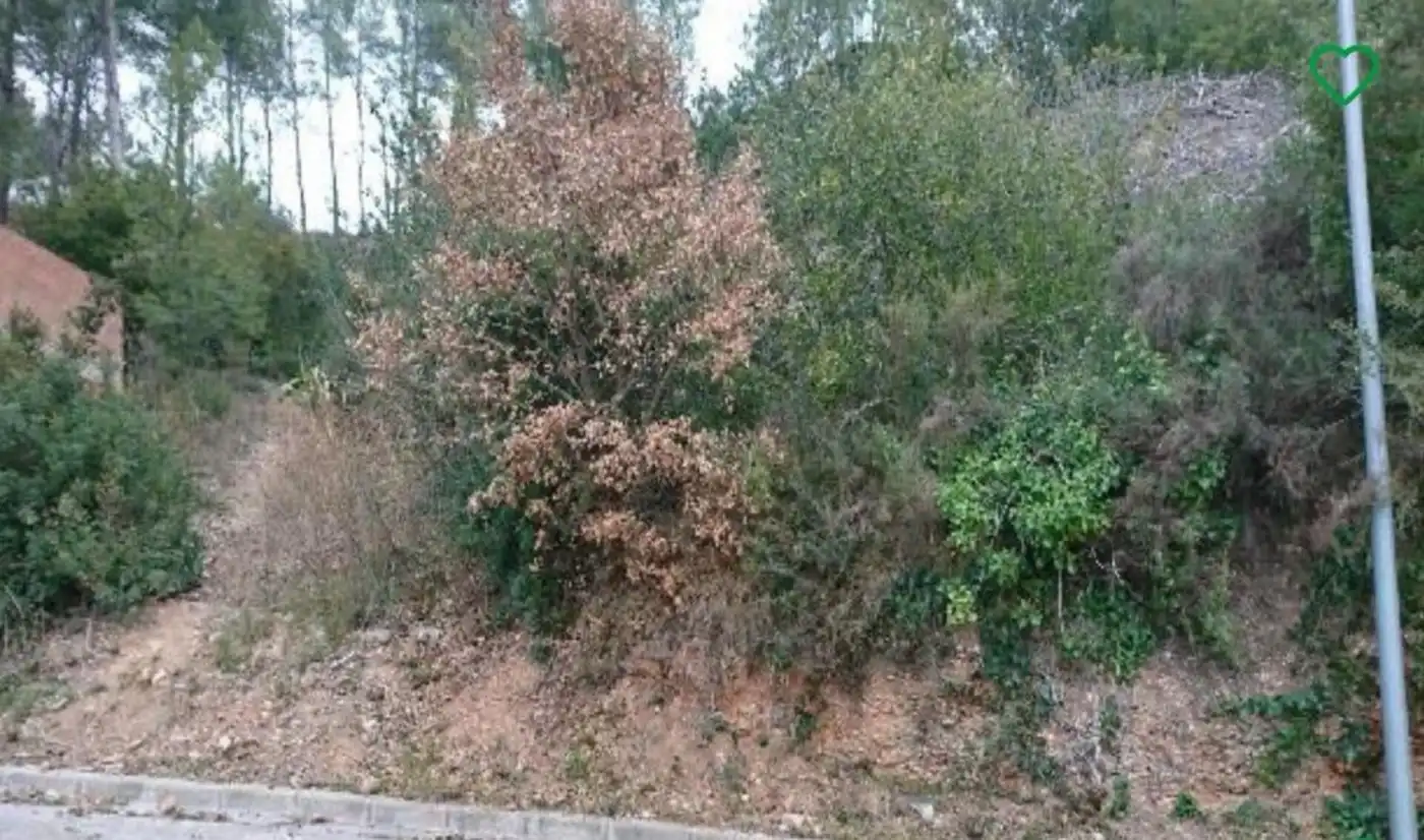 Wohnbaugrundstück zum Verkauf in Cabrera d'Anoia, imagen 4