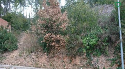 Parcela en venta en Cabrera dAnoia, imatge 4