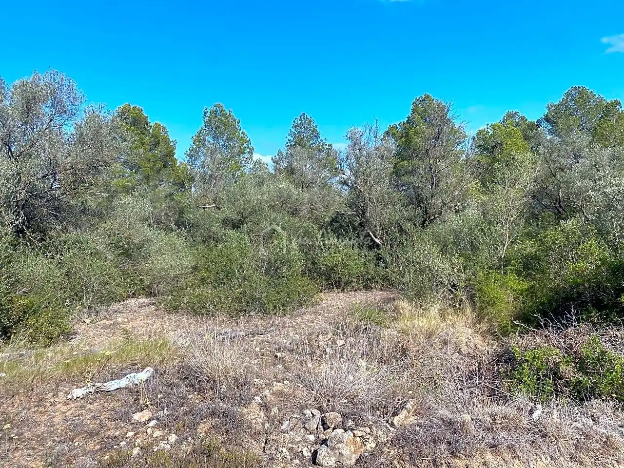 Terreno en venta en Planes, Rasquera