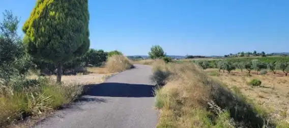 Exterior view of Land for sale in Real