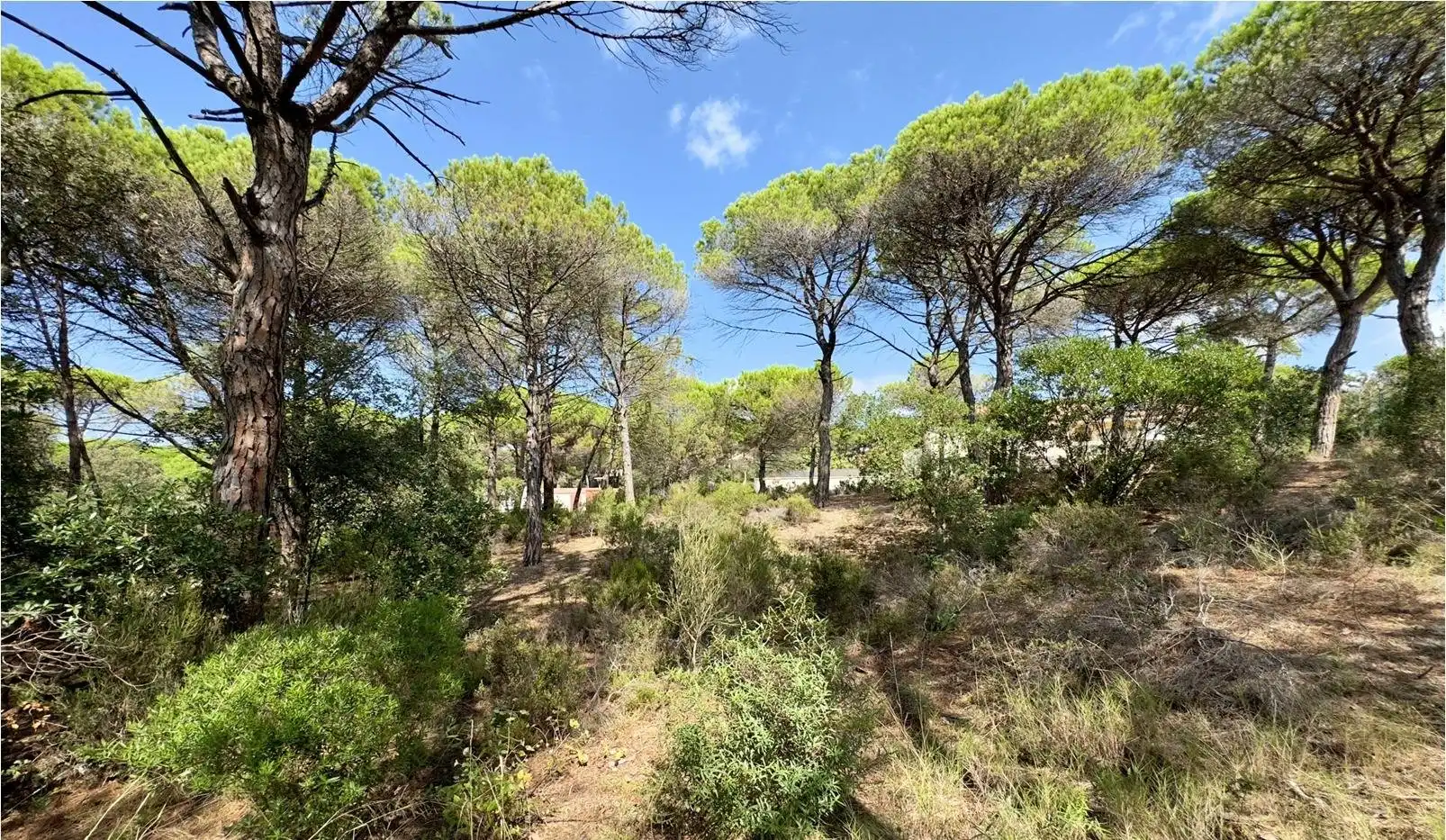 Wohnbaugrundstück zum Verkauf in La Goba, imagen 5