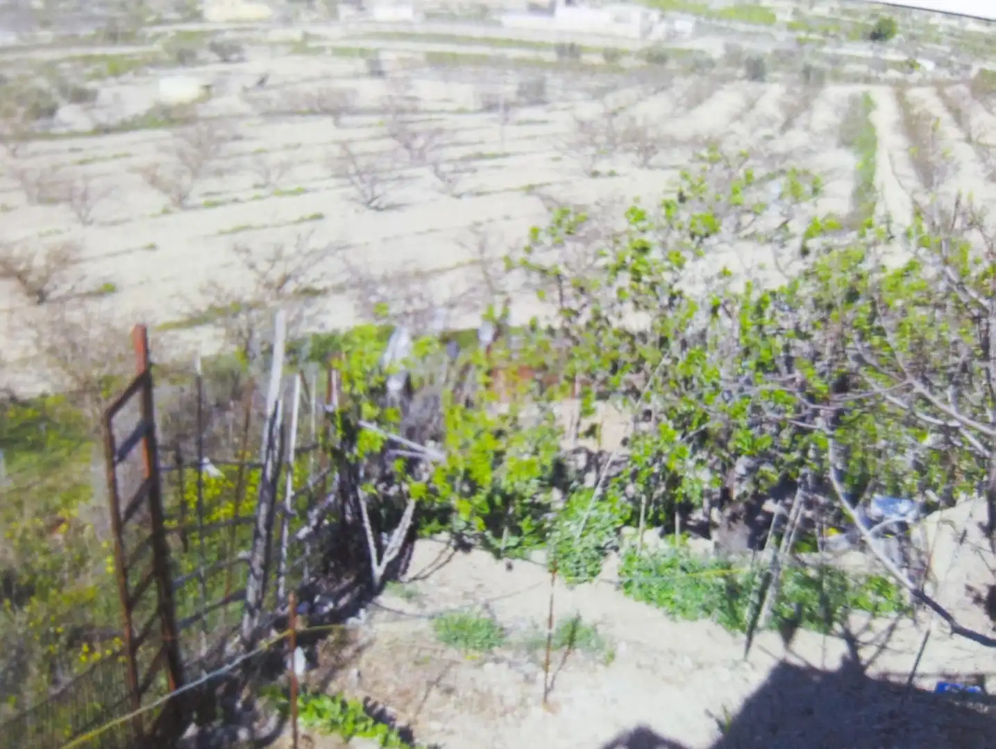 Residential land for sale in Avenida CEHEGIN, imagen 12