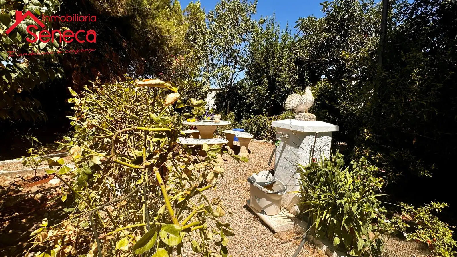 Casa o xalet en venda a El Higuerón