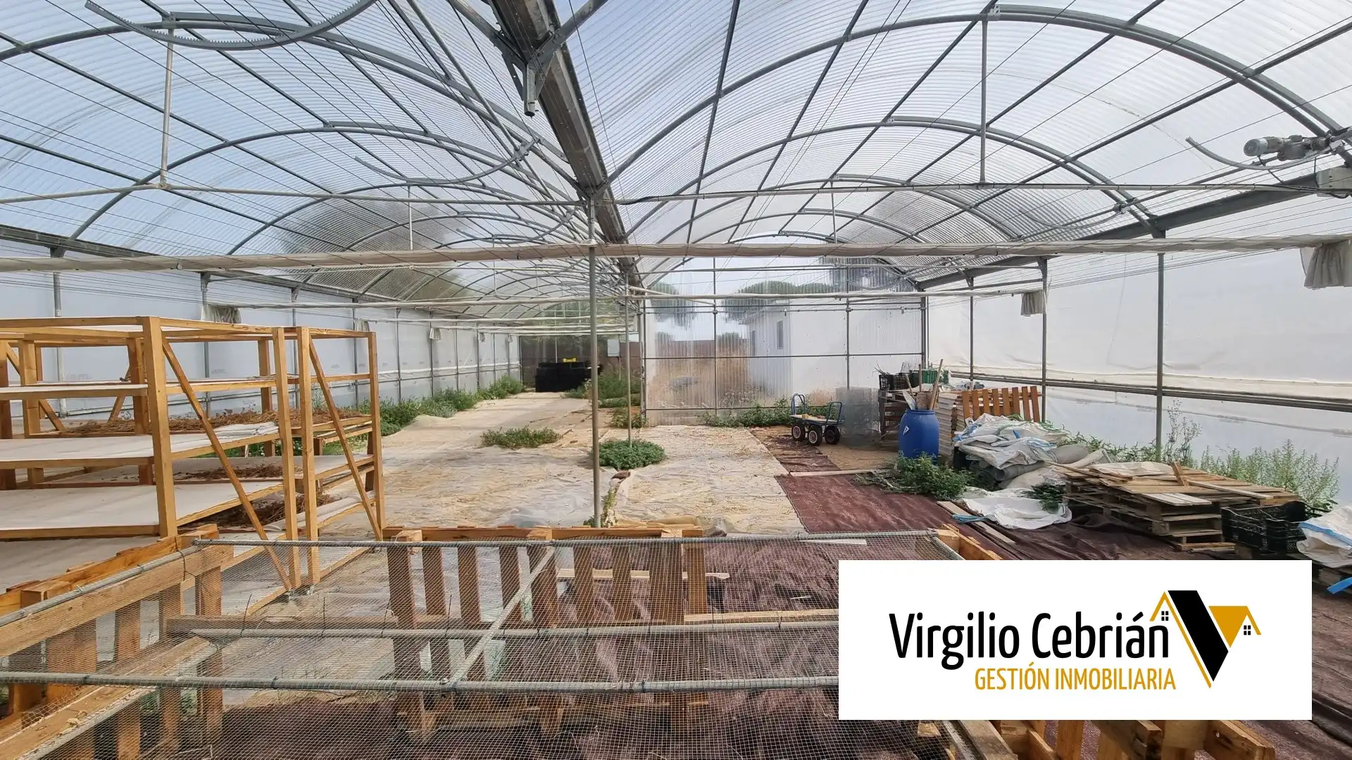 Casa rústica amb jardí en venda a Las Tres Piedras - Costa Ballena, imagen 10