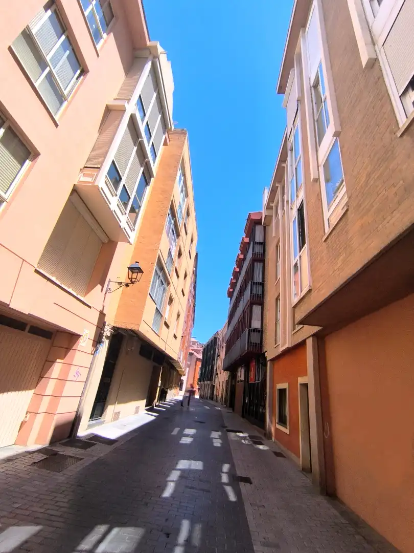 Vista exterior de Pis en venda en Palencia amb Calefacció, Parquet i Traster