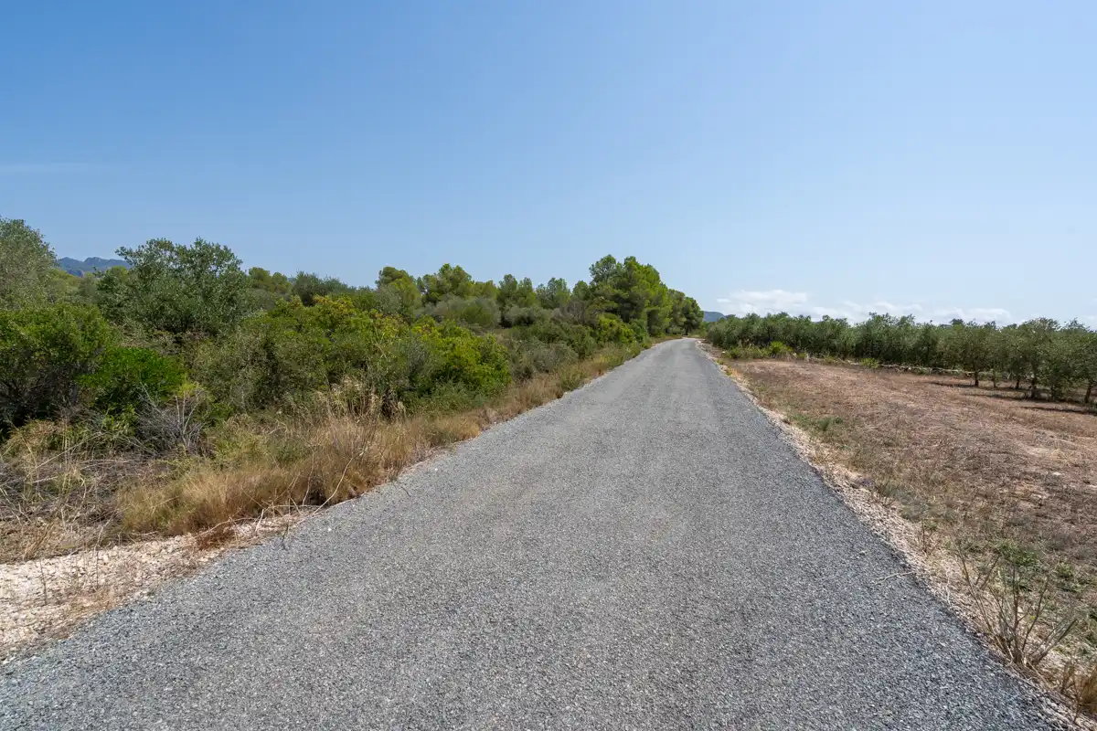 Rural land for sale in C-12 77, imagen 22
