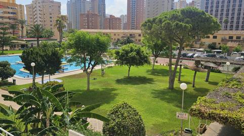 Foto 2 de Apartament en venda a Juzgados - Plaza de Toros, Benidorm