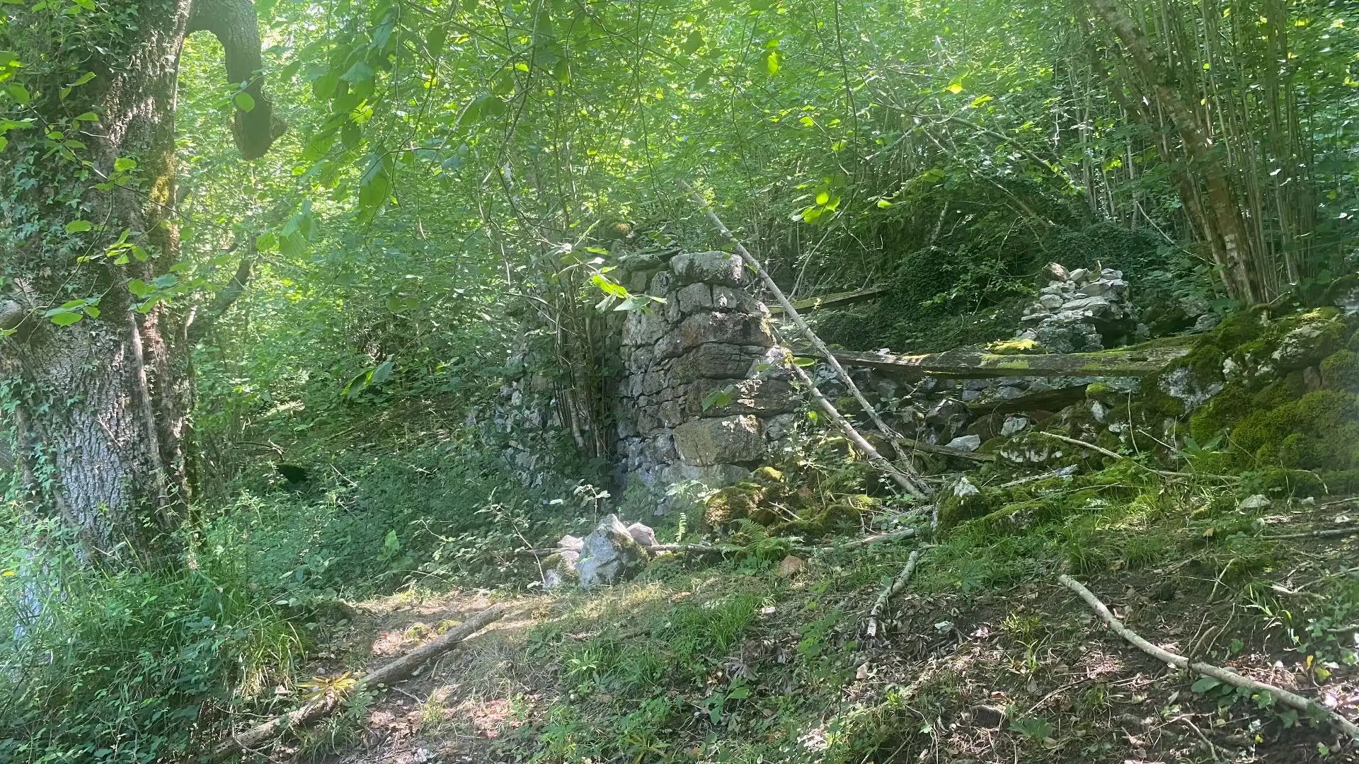Terreno rustico in vendita a SEGÜENCO, imagen 32