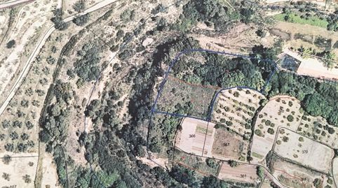 TERRENO RÚSTICO EN LA BALSA DEL TEJAR, BICORP