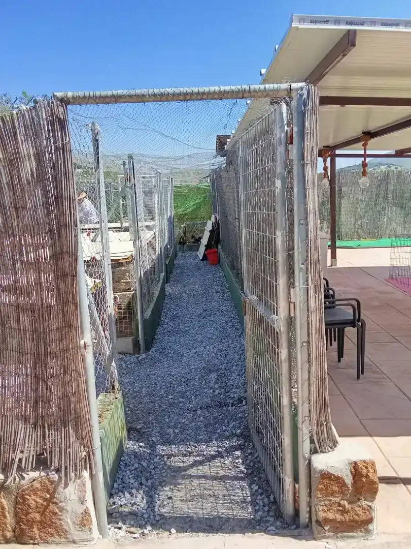 Vista exterior de Finca rústica en venda en Pinos Puente amb Aire condicionat