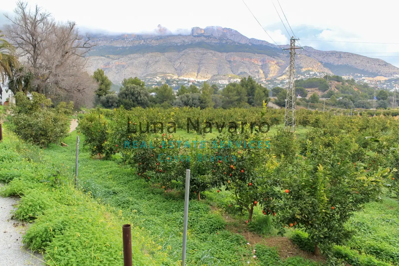 Terreny rústic en venda a Partida Pila, imagen 18