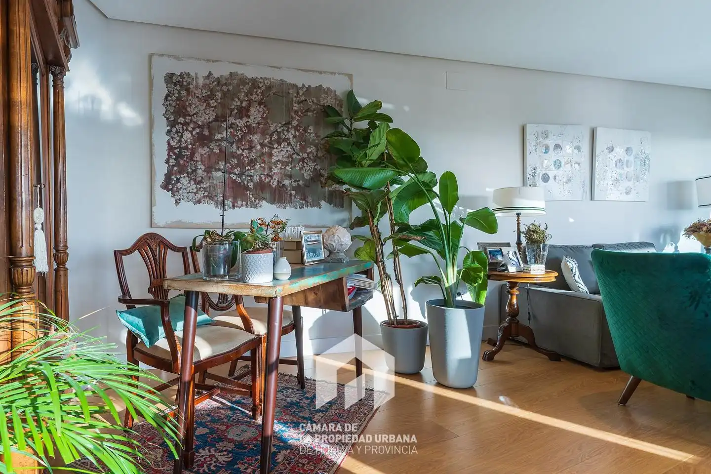 Flat for rent in Del Punto, Centro