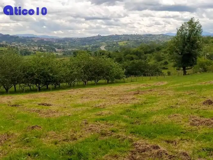 Terreno residencial en venta en San Claudio - Trubia - Las Caldas, imagen 8