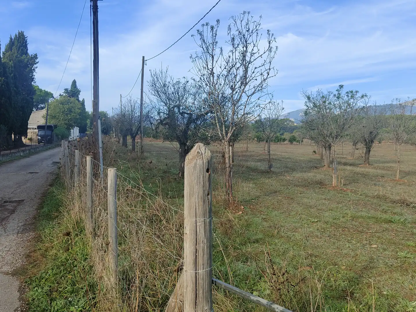 Terrain rustique à vendre à Camí Moscari 26, imagen 10