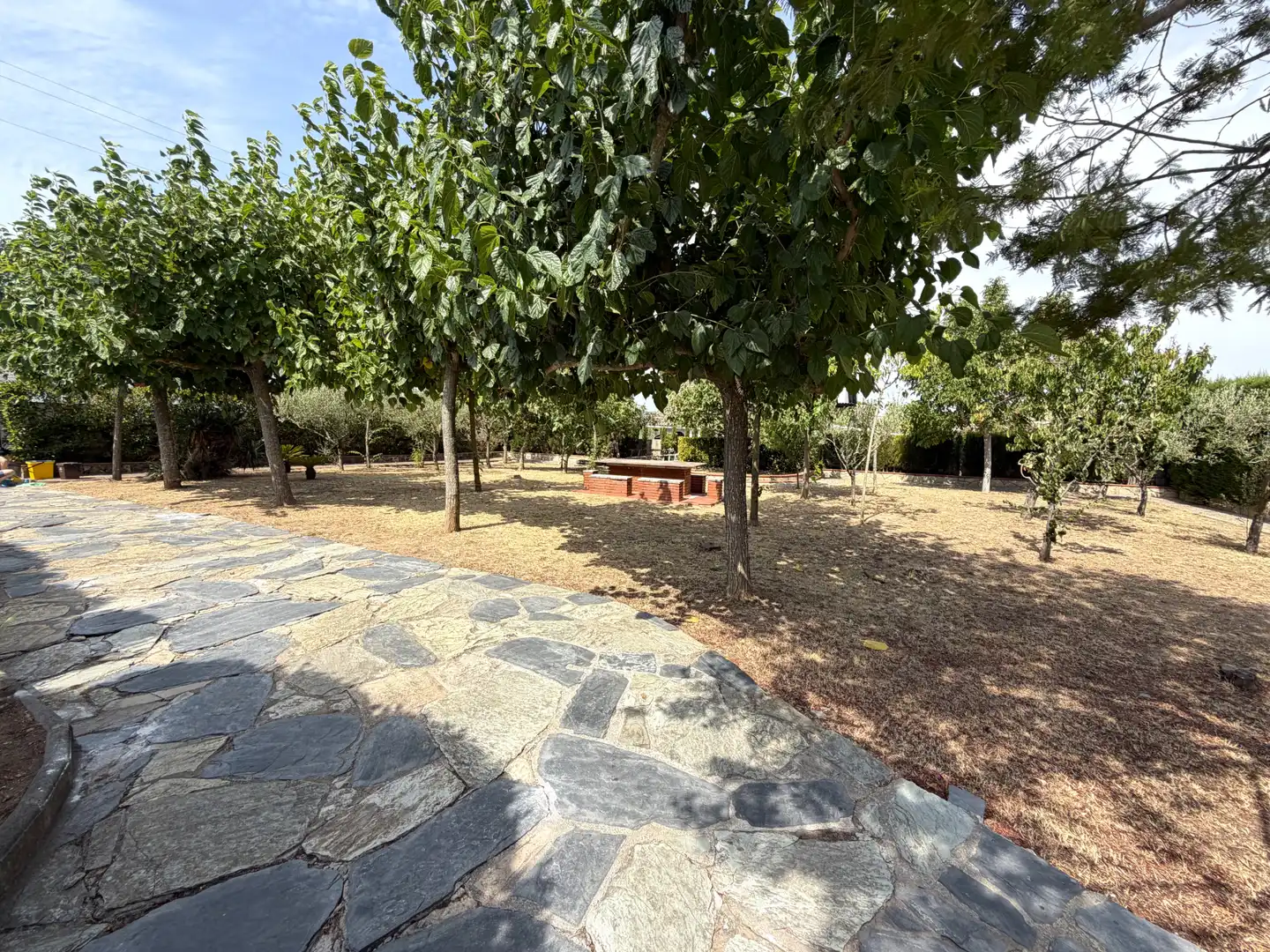 Jardí de Finca rústica en venda en Mediona amb Jardí privat, Parquet i Terrassa