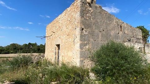 Finca edificable zona Sa Rotana de Manacor