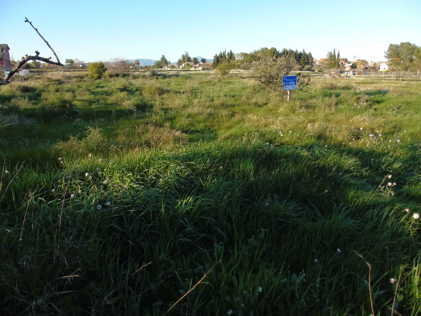 Terrenos y solares en venta en Camino Huerta De Abajo 70, imagen 6