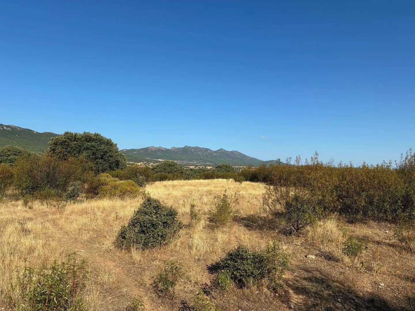 Rural land for sale in Puerto de San Vicente, imagen 20