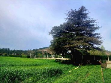 Terreno residencial en venta en Otur