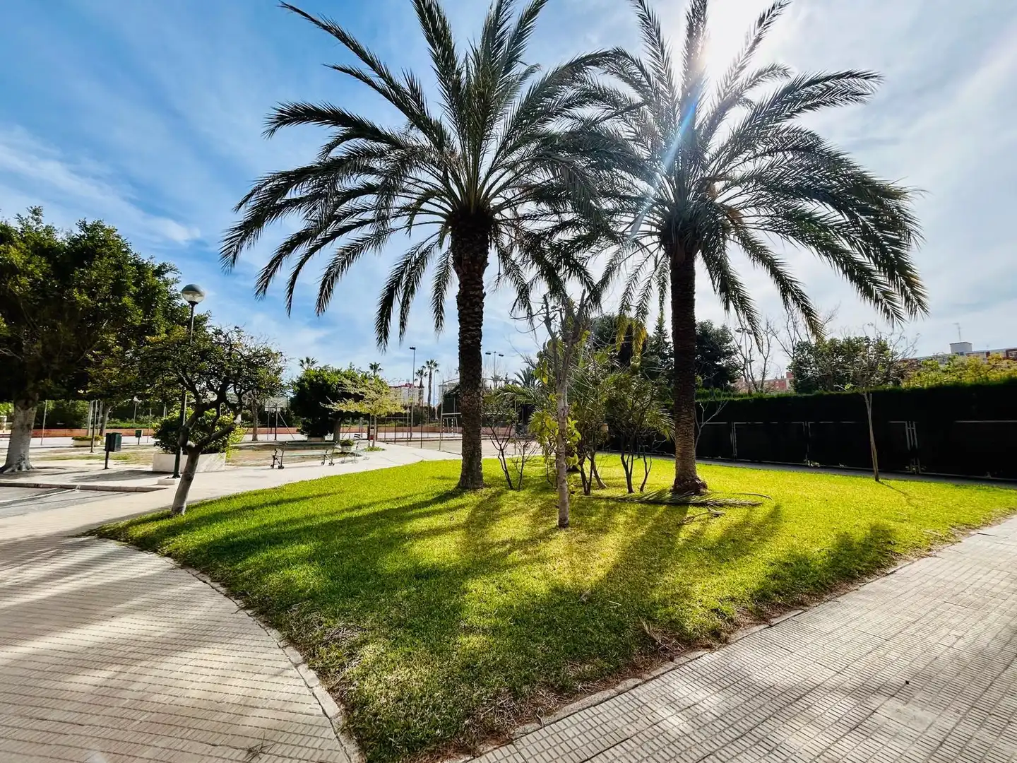 Vista exterior de Pis en venda en Alicante / Alacant amb Aire condicionat, Jardí privat i Moblat