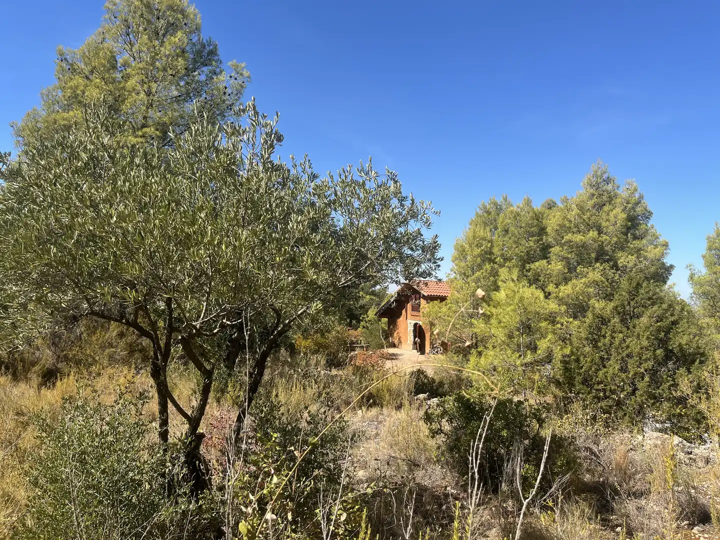 Finca rústica en venta en La Pobla de Cérvoles, Lleida