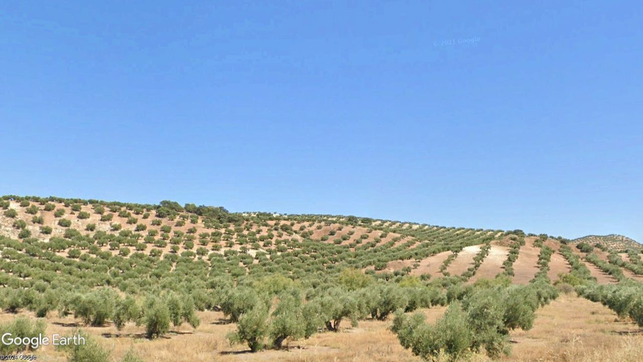 Grundstücke zum verkauf in Escañuela