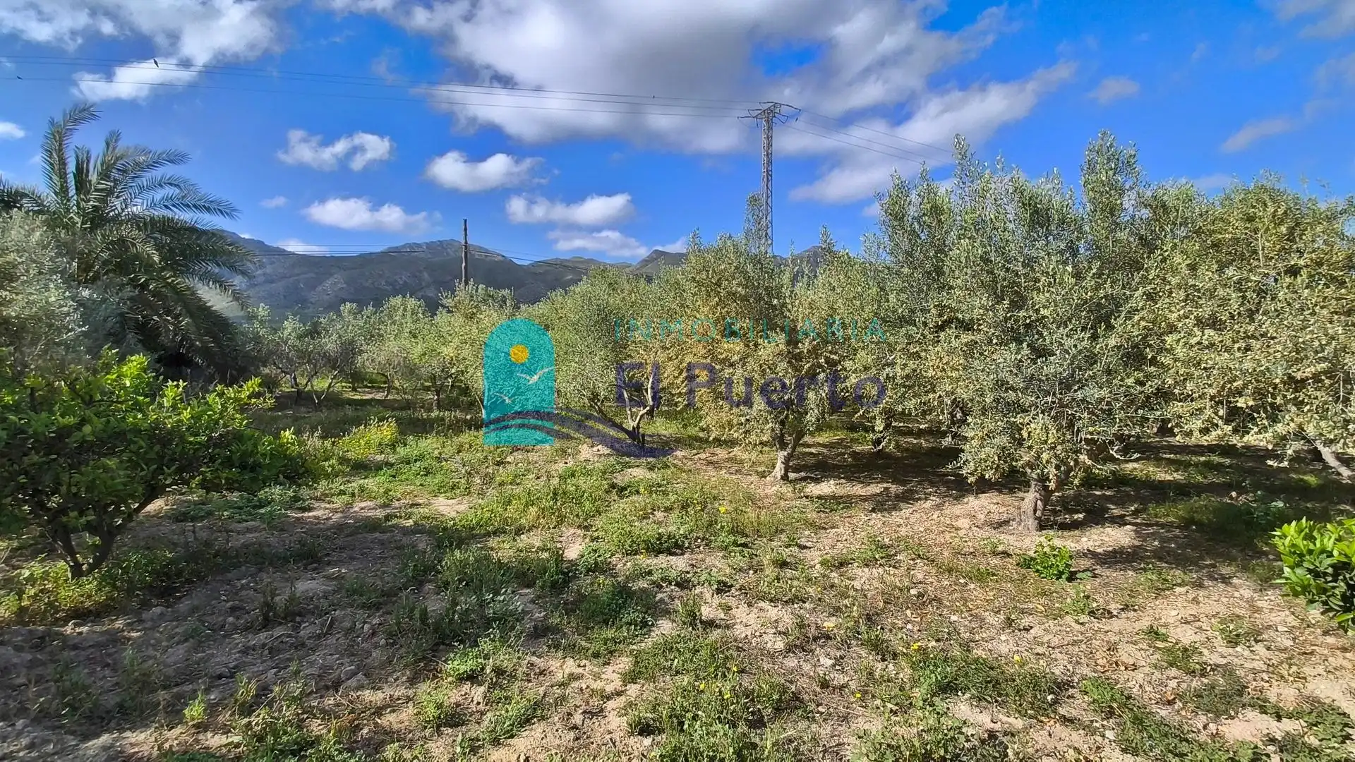 Casa con jardín en venta en Mazarrón Casco Urbano, imagen 35