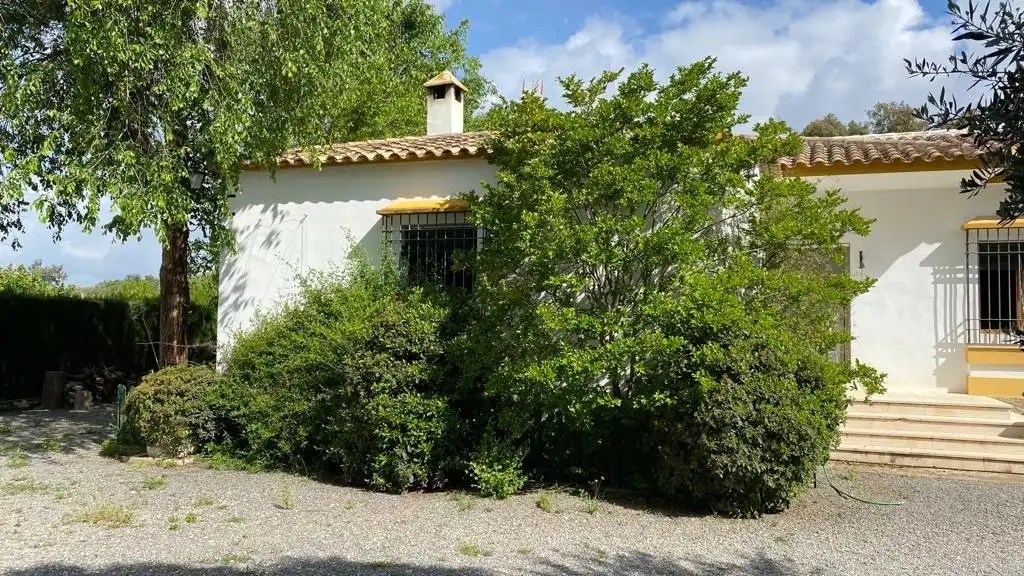 Jardín de Finca rústica en venta en Baena con Jardín privado, Terraza y Piscina