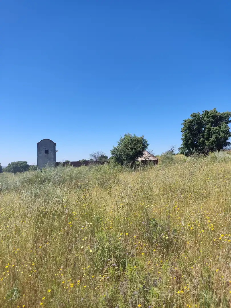 Land for sale in Navalcarnero