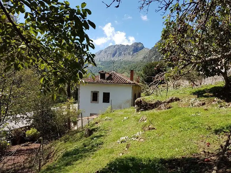 Houses for sale in Trescares, Peñamellera Alta