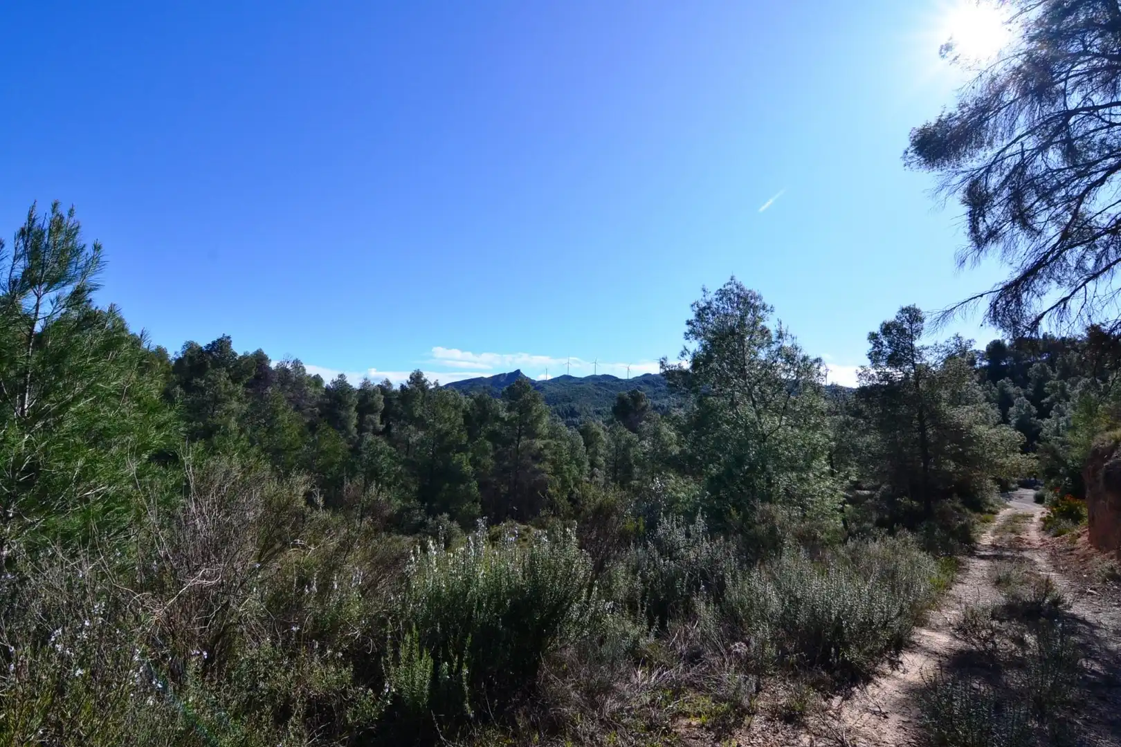 Rural land for sale in Ascó, imagen 43