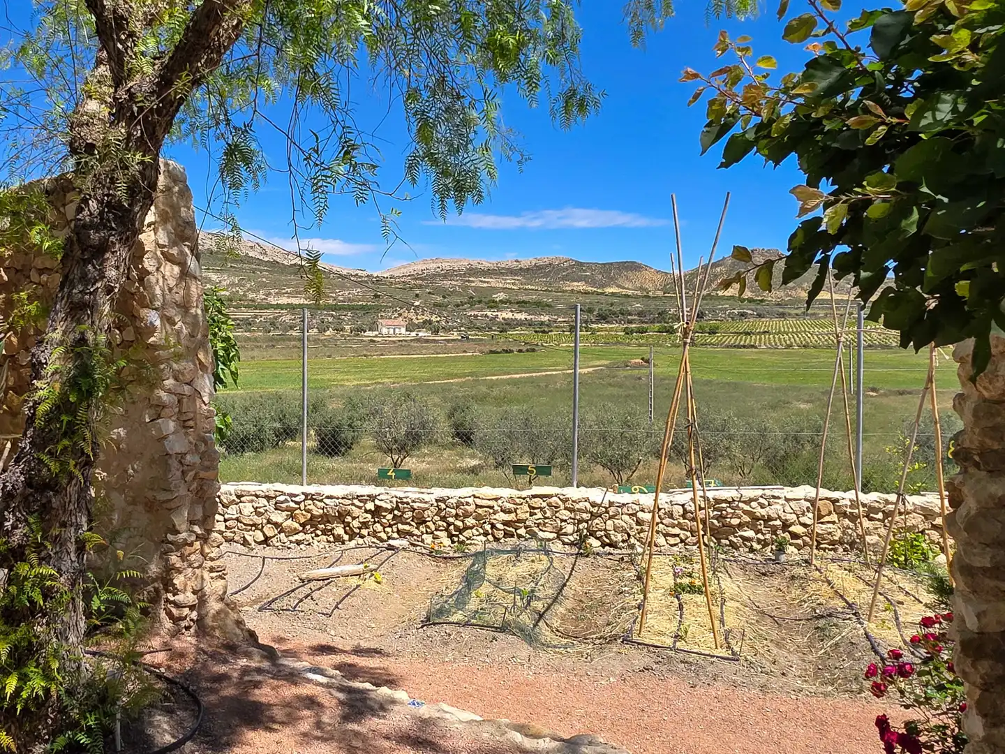 Casa rústica en venda a Jumilla, imagen 15