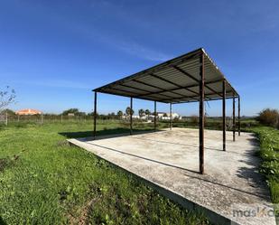 Finca rústica en venda en Los Palacios y Villafranca