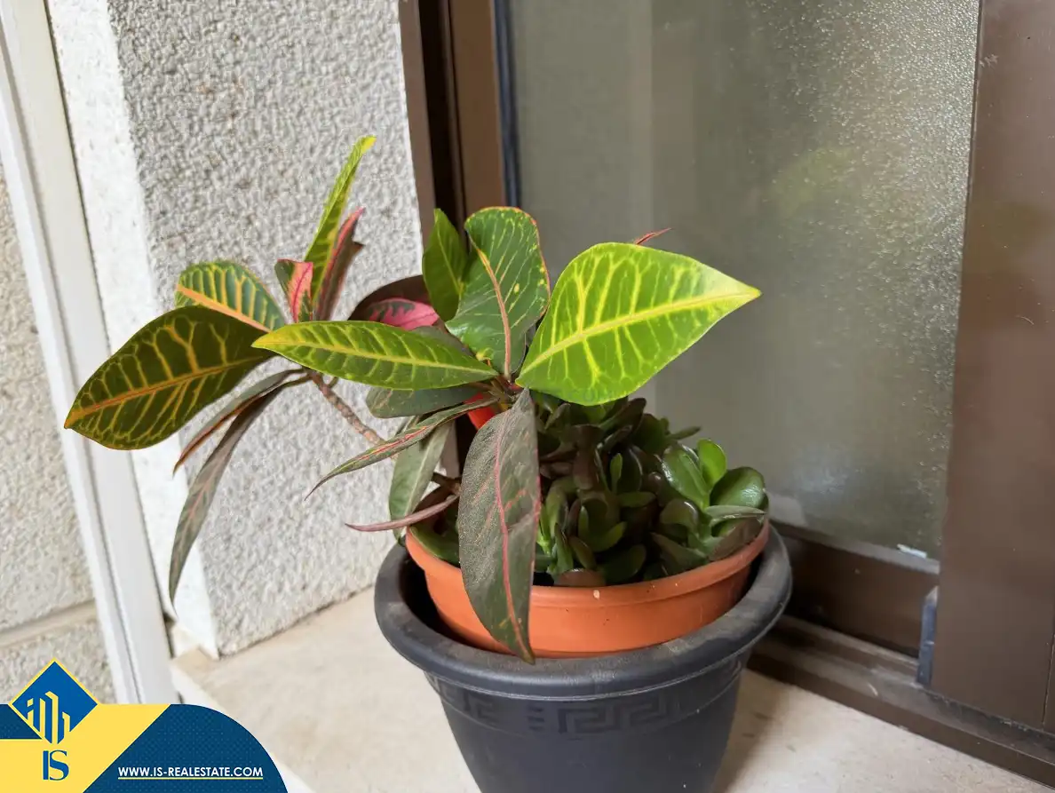 Apartment mit Pool zum Verkauf in Orihuela Costa, imagen 16
