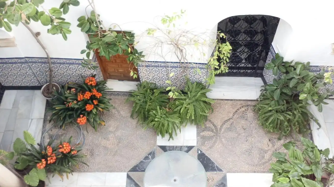 Garden of Houses for sale in Córdoba  with Air Conditioner, Heating and Storage room